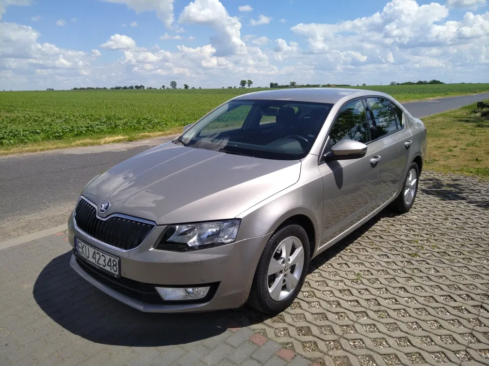 Zdjęcie: 2016 Skoda Octavia