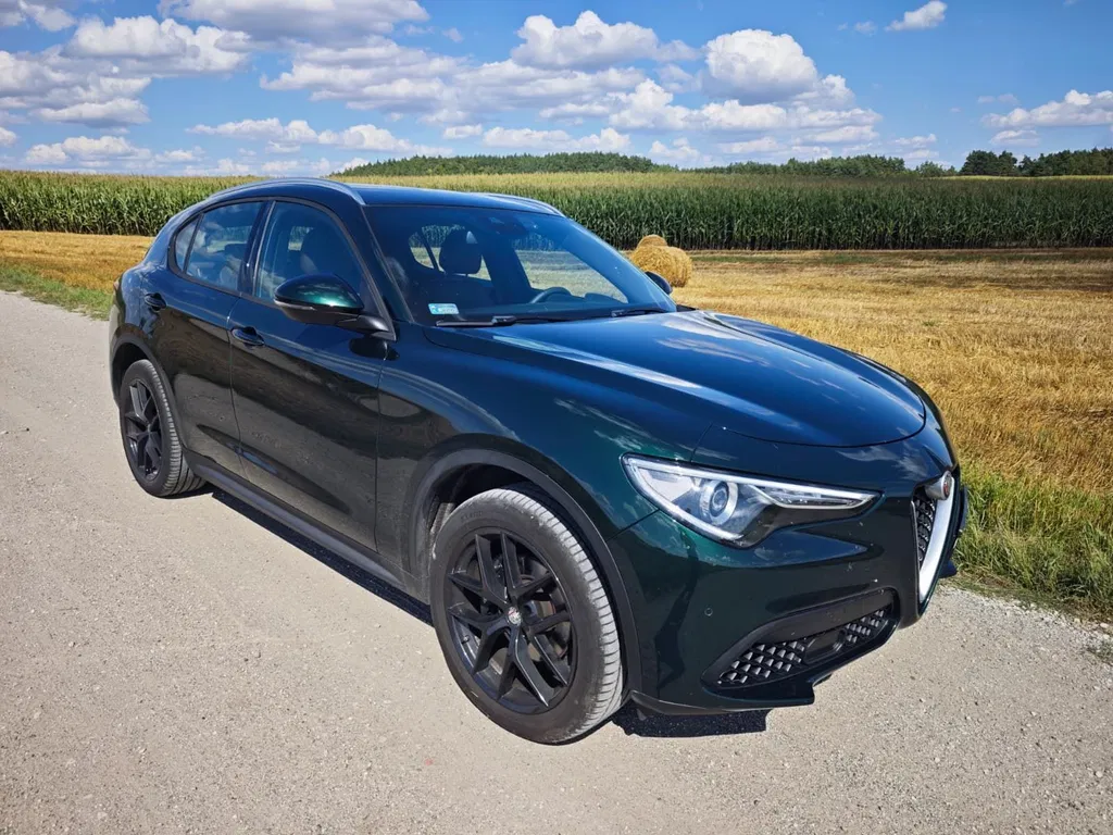 Zdjęcie: 2019 Alfa Romeo Stelvio