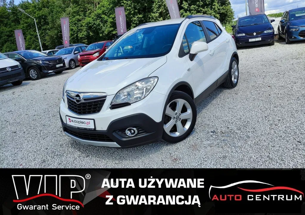 Zdjęcie: 2014 Opel Mokka