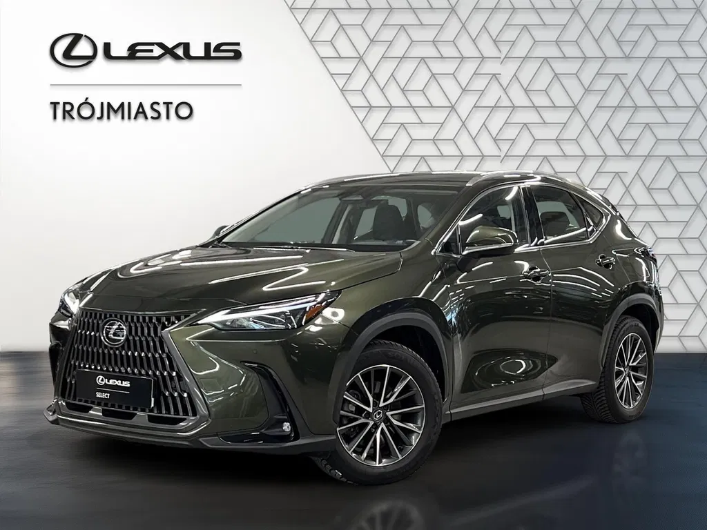 Zdjęcie: 2024 Lexus NX