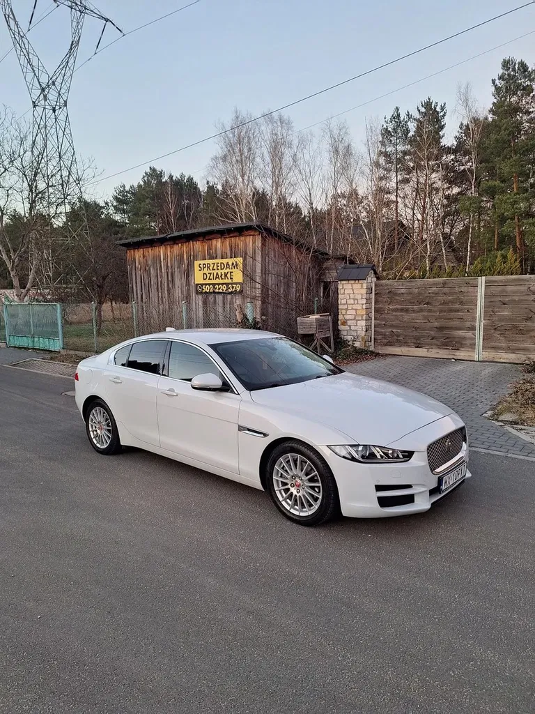 Zdjęcie: 2017 Jaguar XE