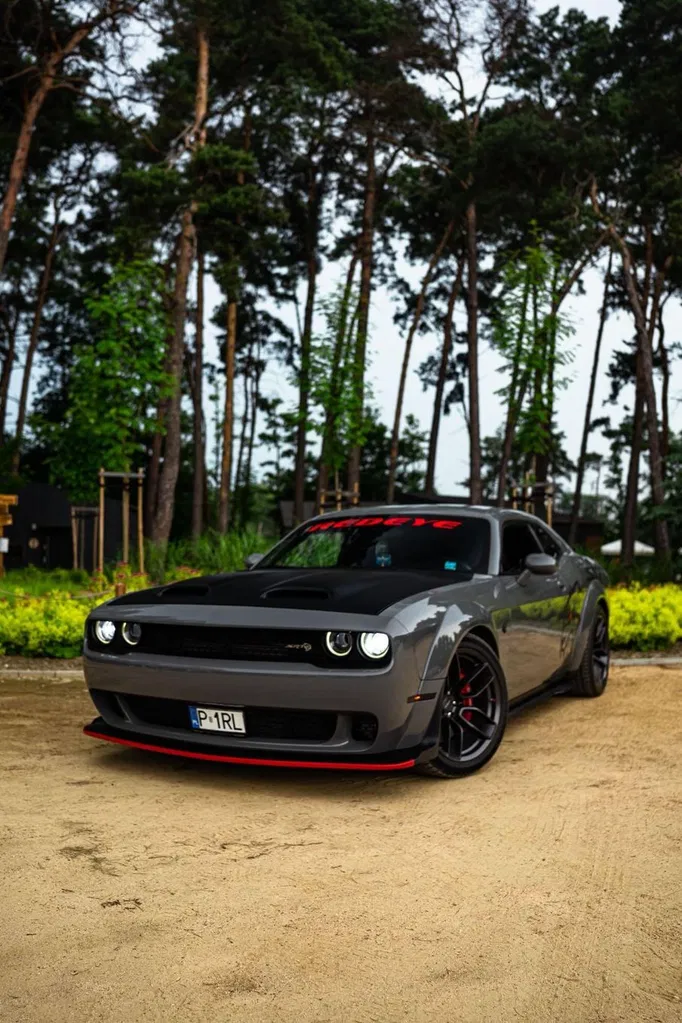 Zdjęcie: 2019 Dodge Challenger