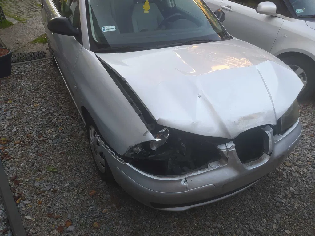 Zdjęcie: 2002 Seat Ibiza