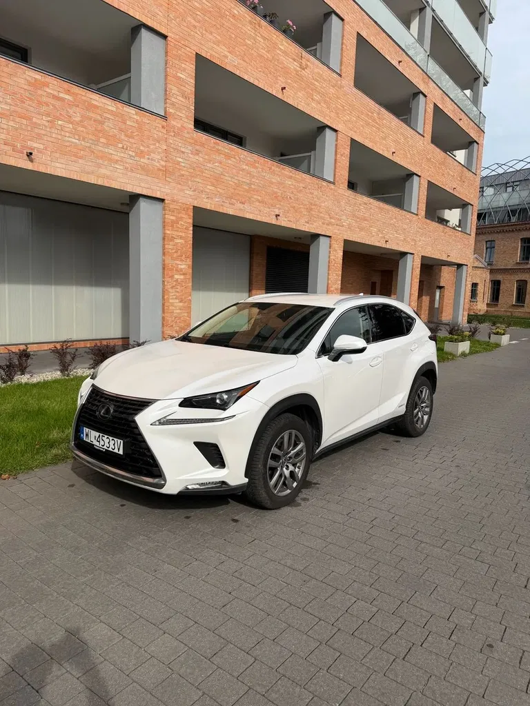 Zdjęcie: 2019 Lexus NX