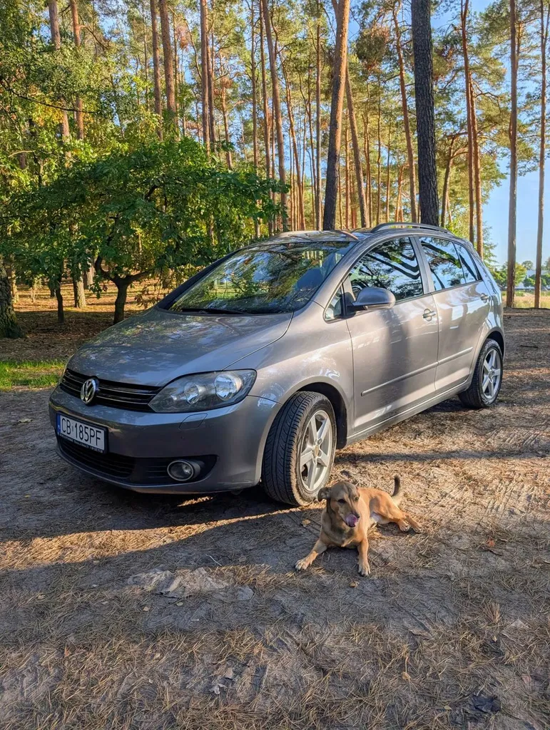 Zdjęcie: 2009 Volkswagen Golf