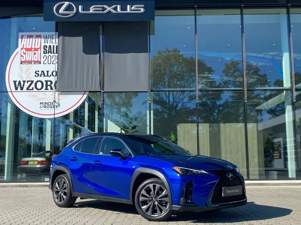 Zdjęcie: 2024 Lexus UX