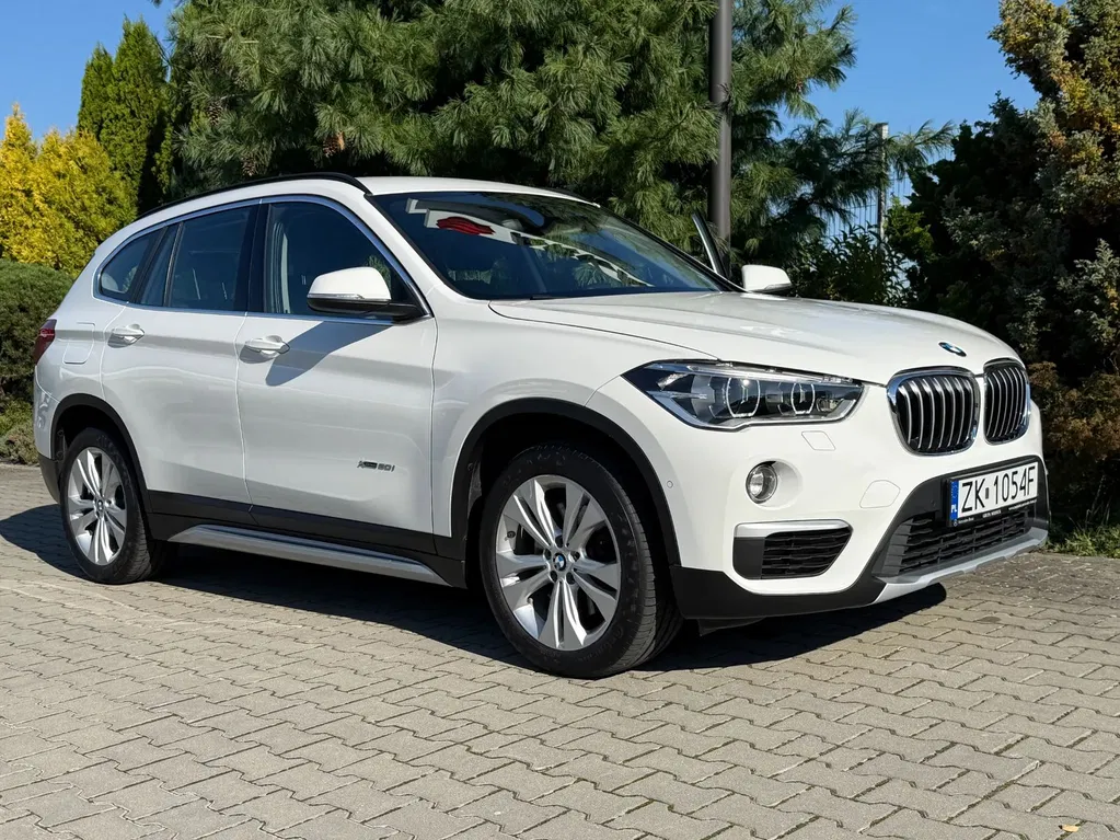 Zdjęcie: 2017 BMW X1
