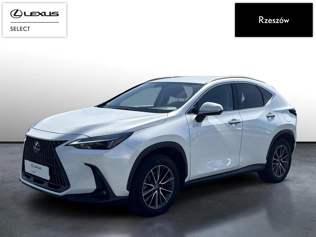 Zdjęcie: 2024 Lexus NX