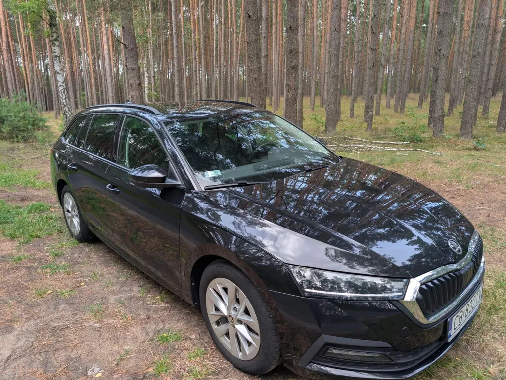 Zdjęcie: 2021 Skoda Octavia