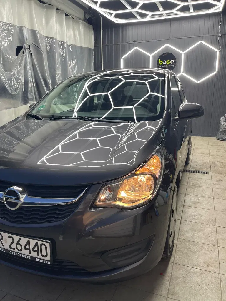 Zdjęcie: 2016 Opel Pozostałe Opel