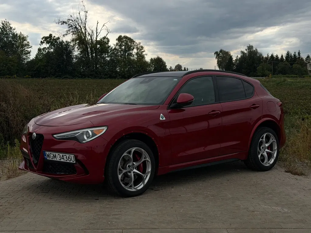 Zdjęcie: 2019 Alfa Romeo Stelvio