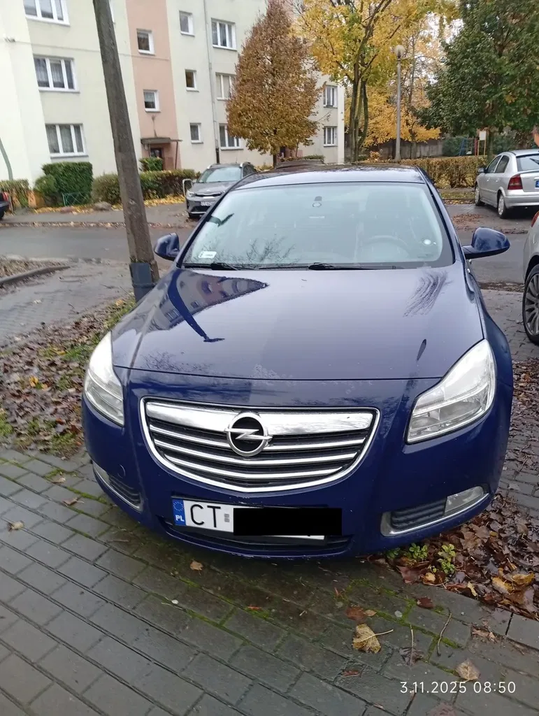Zdjęcie: 2009 Opel Insignia