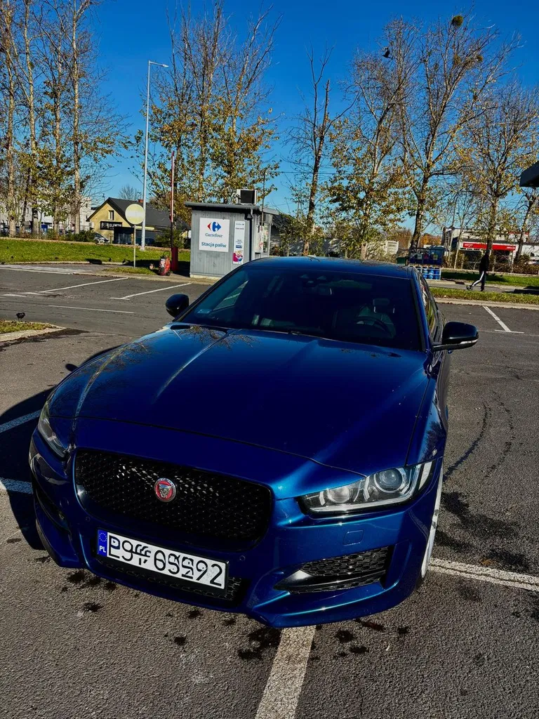Zdjęcie: 2016 Jaguar XE