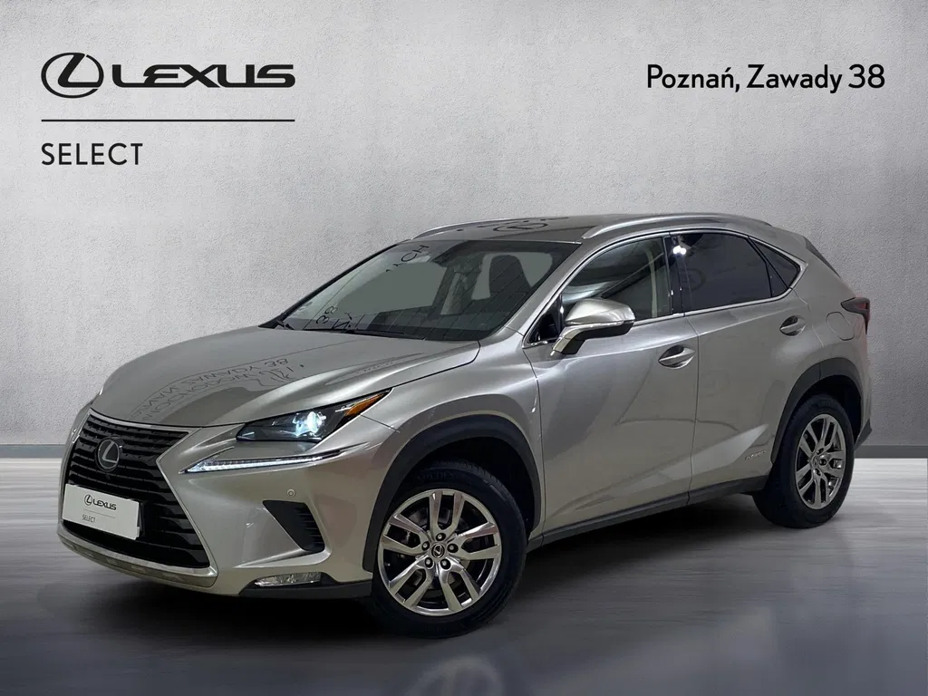 Zdjęcie: 2019 Lexus NX