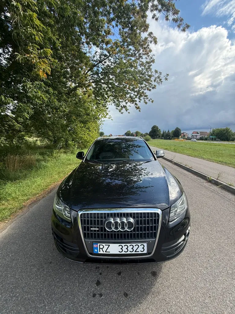 Zdjęcie: 2010 Audi Q5