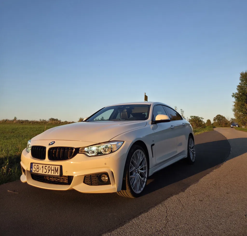 Zdjęcie: 2016 BMW Seria 4