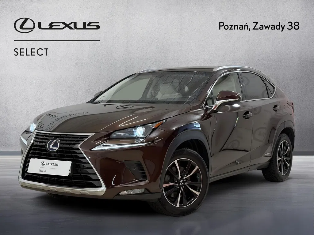 Zdjęcie: 2017 Lexus NX