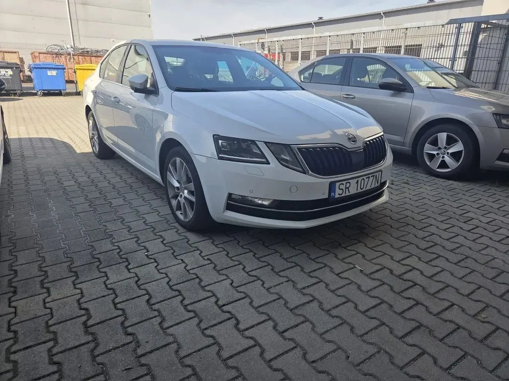 Zdjęcie: 2019 Skoda Octavia