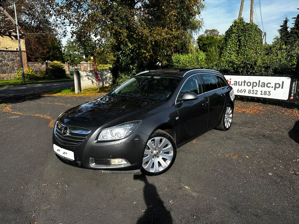 Zdjęcie: 2010 Opel Insignia