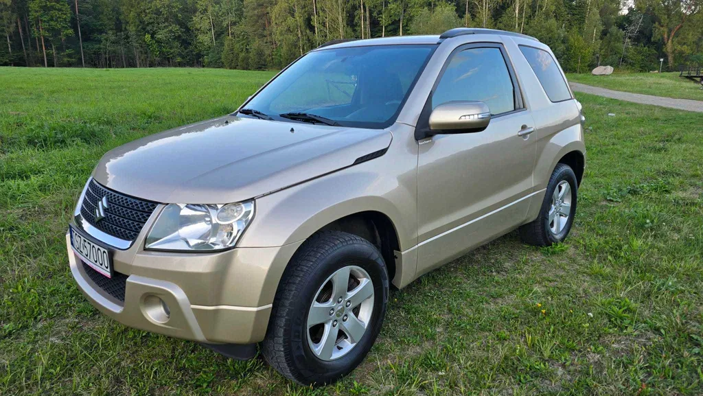 Zdjęcie: 2010 Suzuki Grand Vitara