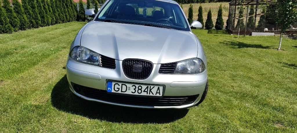 Zdjęcie: 2004 Seat Ibiza