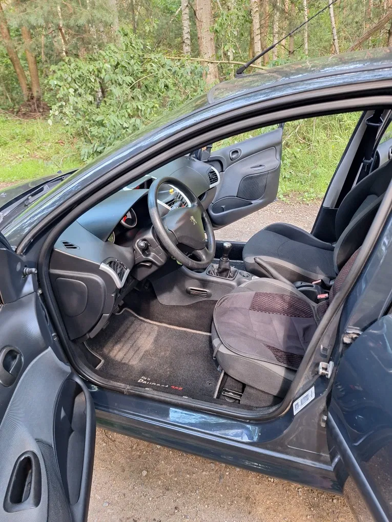 Zdjęcie: 2010 Peugeot 206 plus