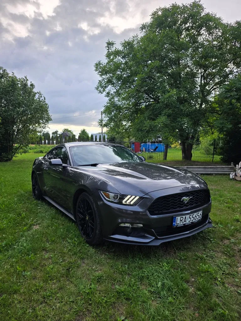 Zdjęcie: 2016 Ford Mustang
