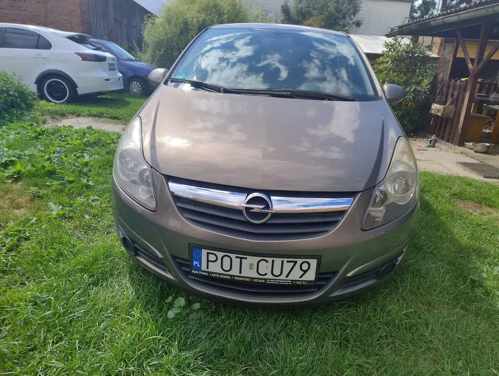 Zdjęcie: 2010 Opel Corsa