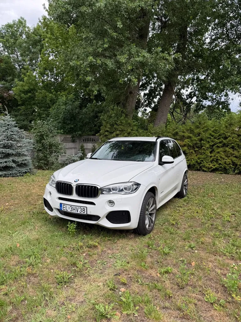 Zdjęcie: 2017 BMW X5
