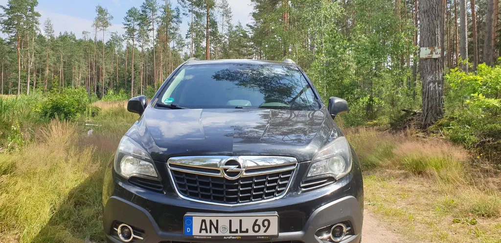 Zdjęcie: 2014 Opel Mokka