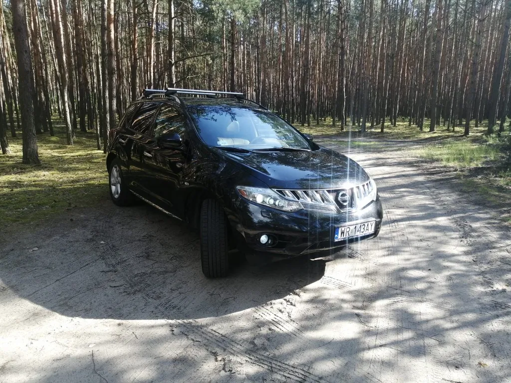 Zdjęcie: 2010 Nissan Murano