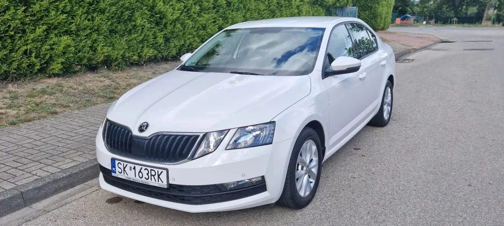 Zdjęcie: 2019 Skoda Octavia