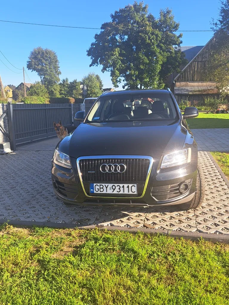 Zdjęcie: 2009 Audi Q5