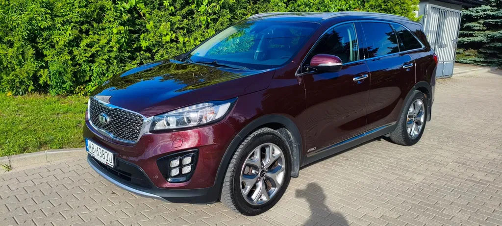 Zdjęcie: 2017 Kia Sorento