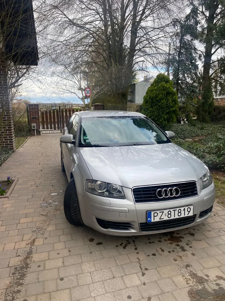 Zdjęcie: 2004 Audi A3 3-drzwiowe