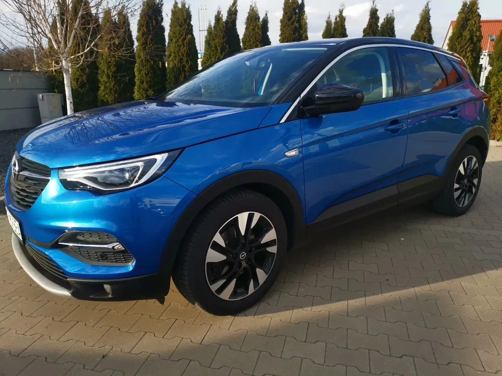 Zdjęcie: 2019 Opel Grandland X