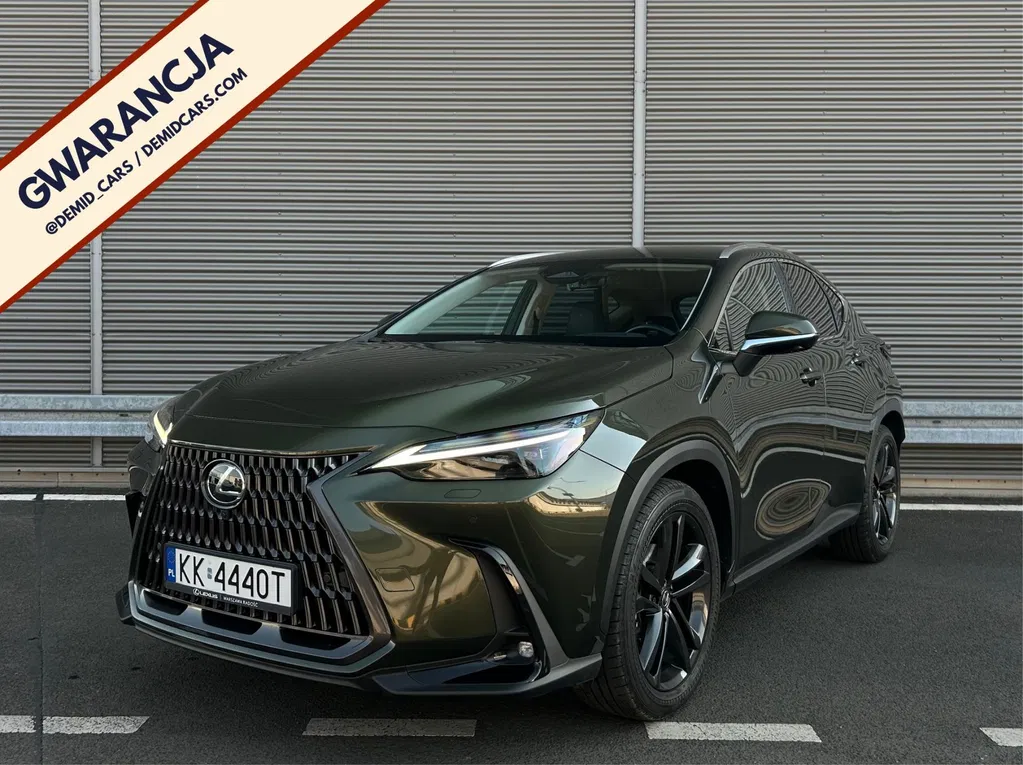 Zdjęcie: 2024 Lexus NX