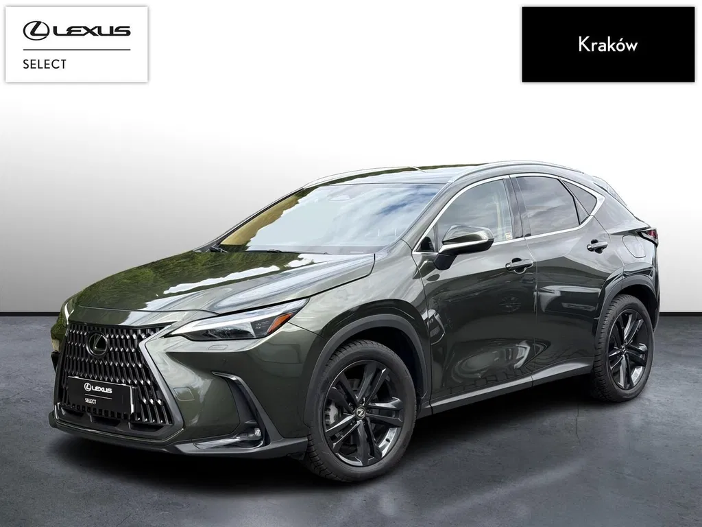Zdjęcie: 2024 Lexus NX