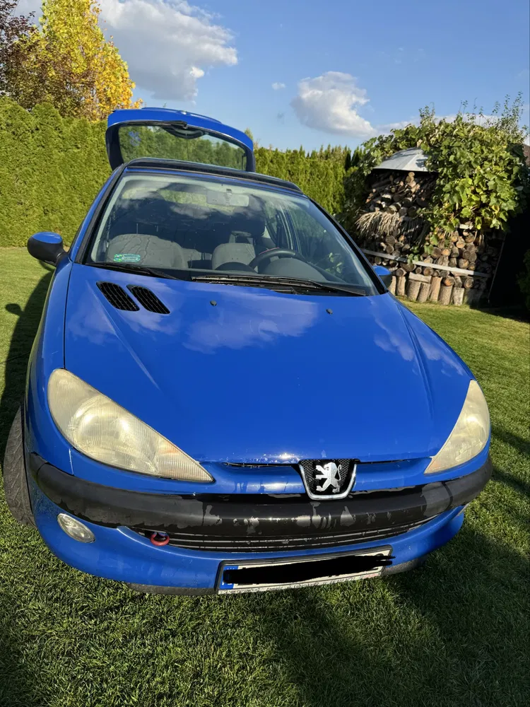 Zdjęcie: 2002 Peugeot 206