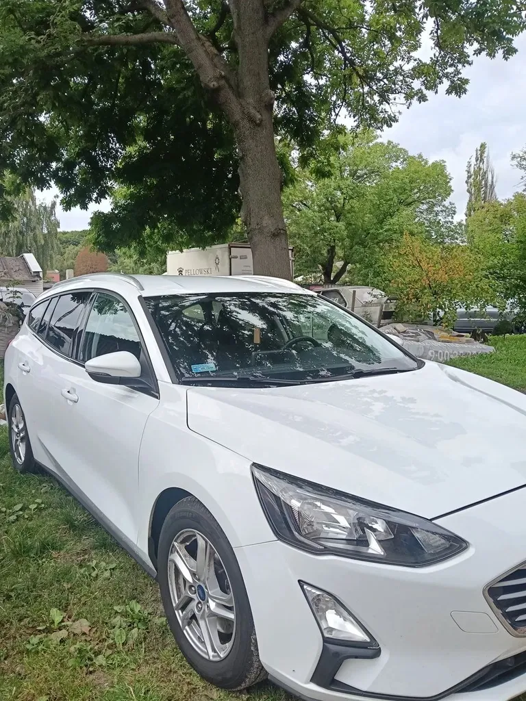 Zdjęcie: 2020 Ford Focus