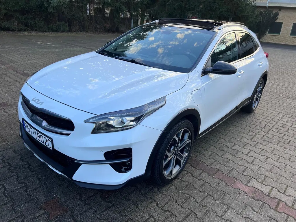 Zdjęcie: 2021 Kia XCeed