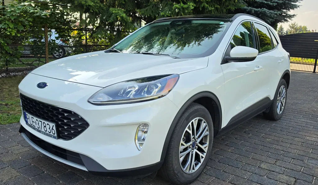 Zdjęcie: 2022 Ford Kuga