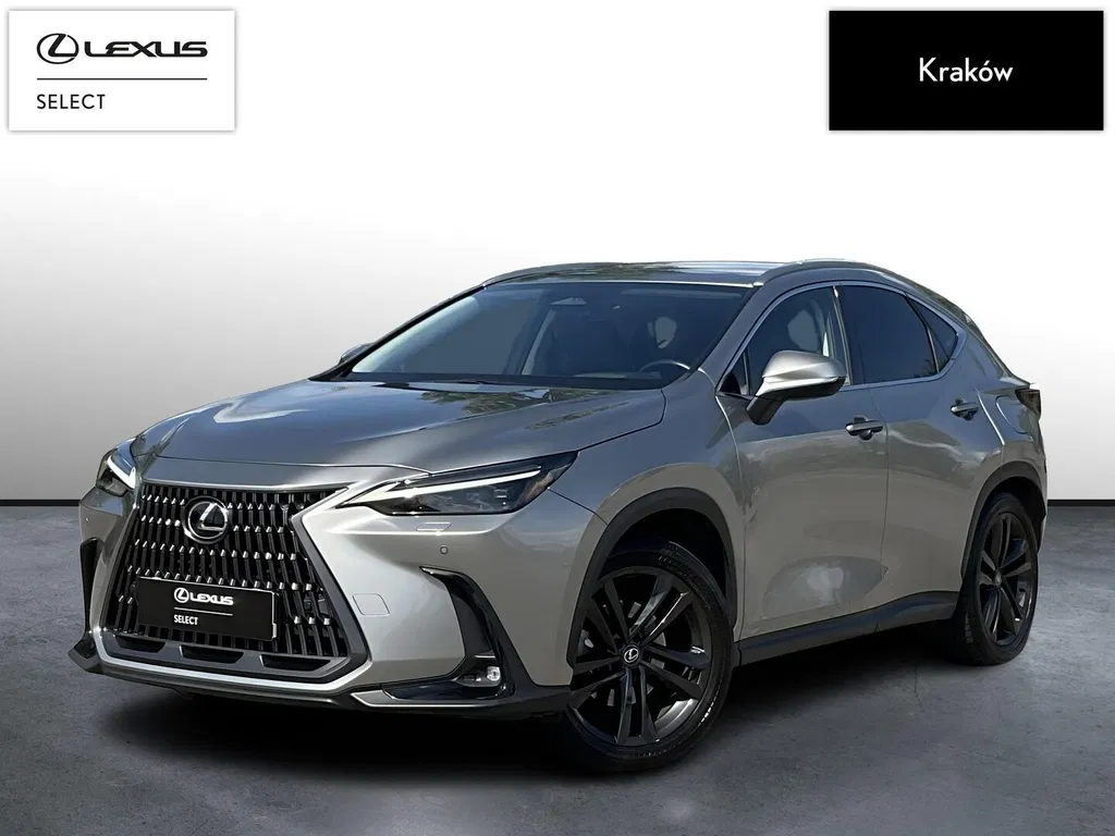 Zdjęcie: 2024 Lexus NX