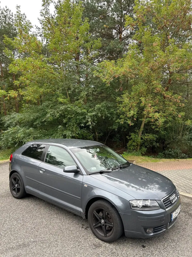 Zdjęcie: 2003 Audi A3 3-drzwiowe