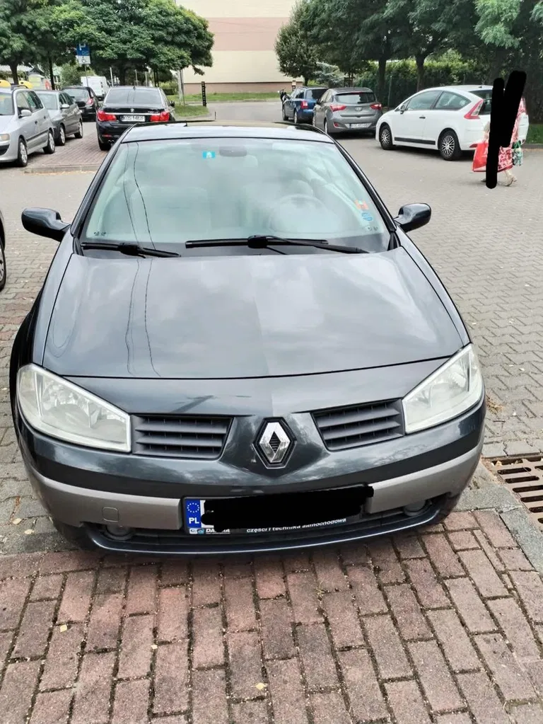 Zdjęcie: 2003 Renault Megane