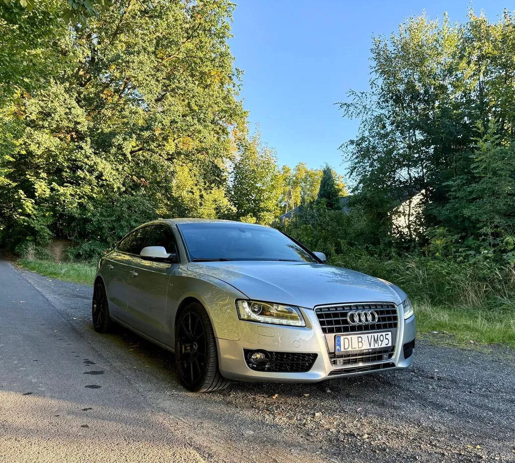 Zdjęcie: 2011 Audi A5 Sportback