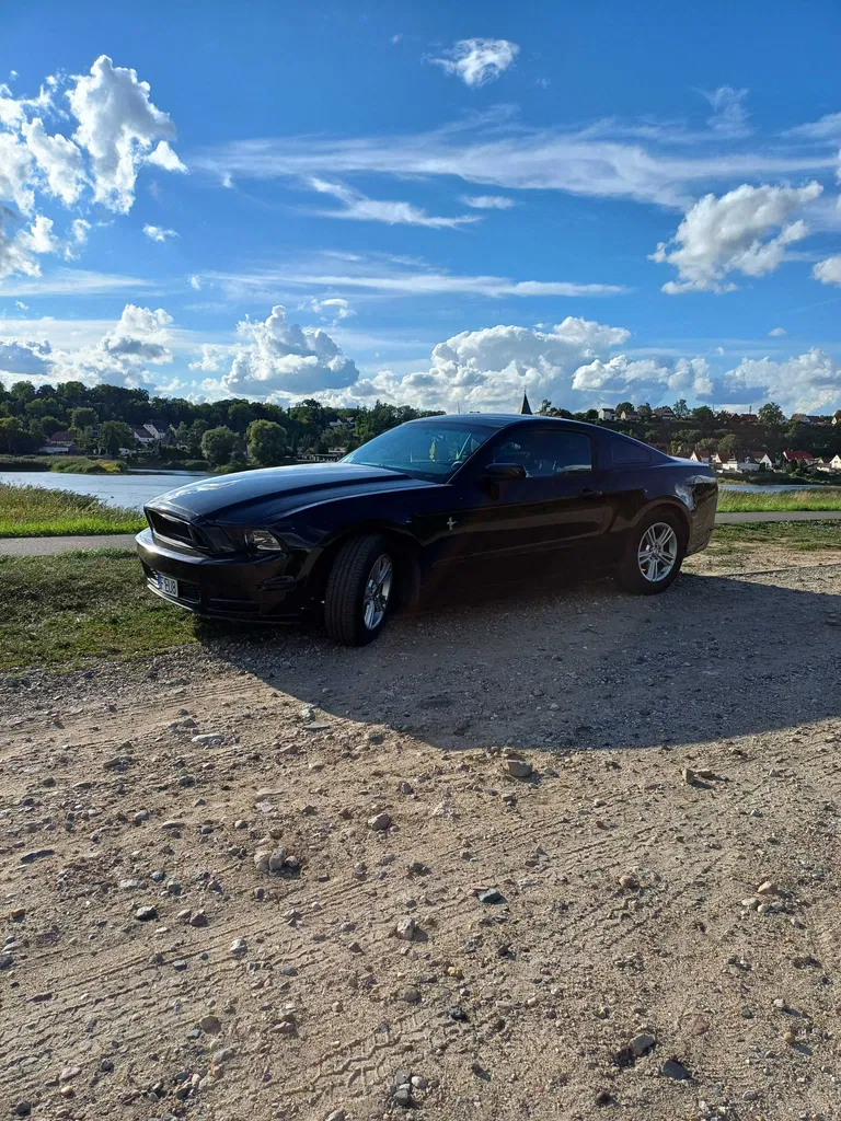 Zdjęcie: 2014 Ford Mustang