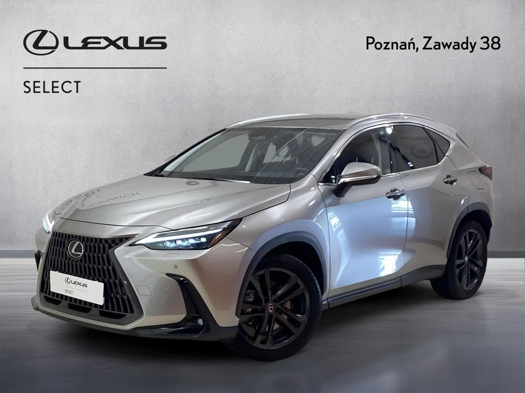 Zdjęcie: 2025 Lexus NX