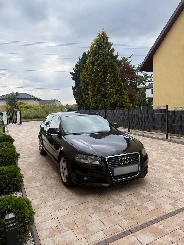 Zdjęcie: 2009 Audi A3 3-drzwiowe