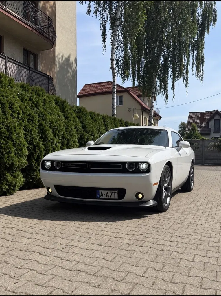 Zdjęcie: 2022 Dodge Challenger